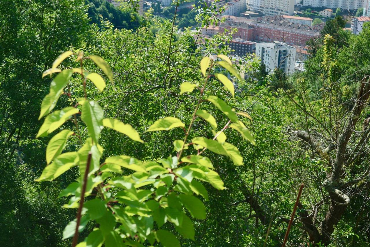 Sosola Baserria Éibar Εξωτερικό φωτογραφία
